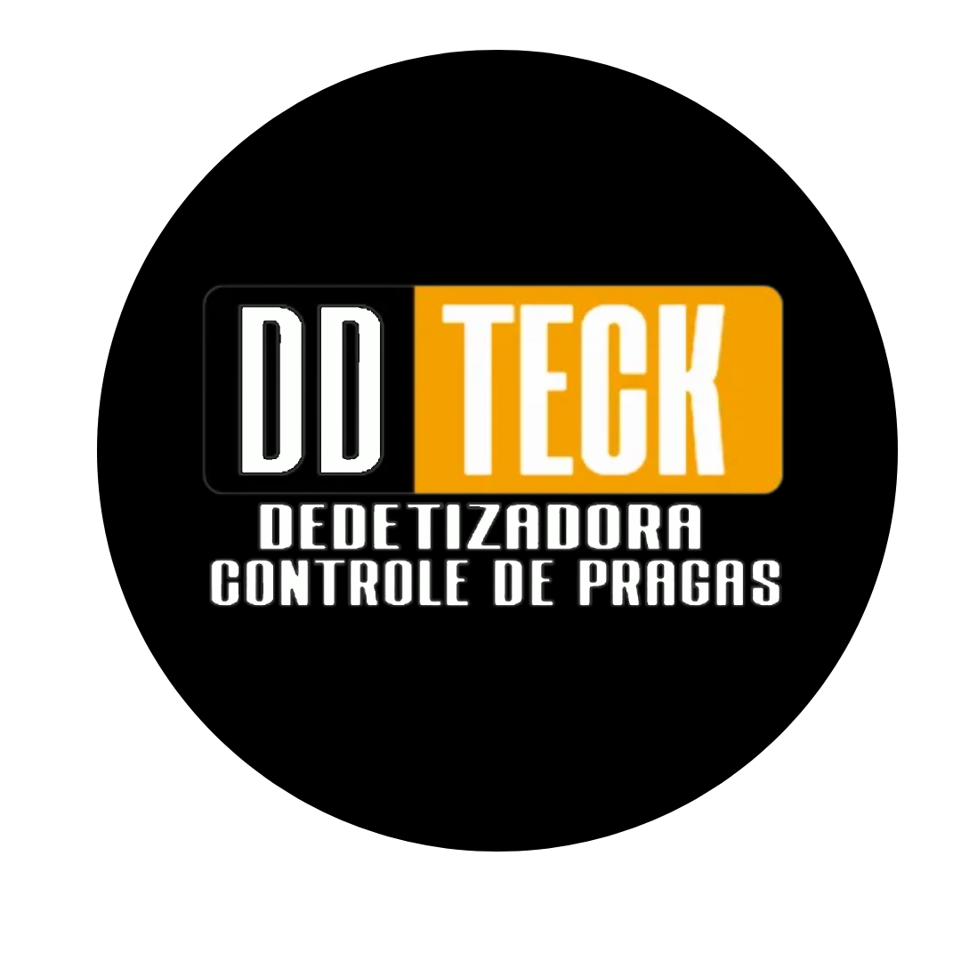 Novo-Projeto-7.png